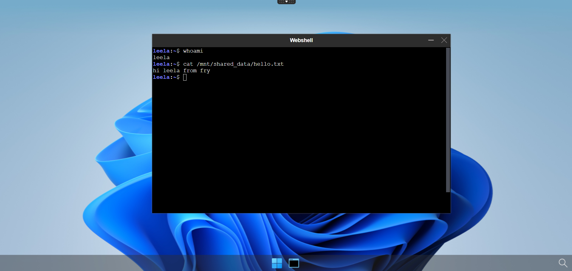 shared_data with leela